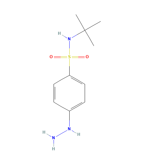 N-tert-butyl-4-hydrazinylbenzenesulfonamide (CAS: 184708-11-0) - Related Chemical Product