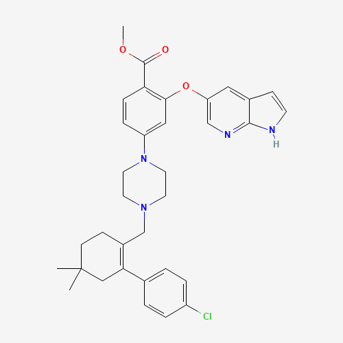 methyl 4-[4-[[2-(4-chlorophenyl)-4,4-dimethylcyclohexen-1-yl]methyl]piperazin-1-yl]-2-(1H-pyrrolo[2,3-b]pyridin-5-yloxy)benzoate (CAS: 1235865-76-5) - Related Chemical Product