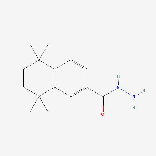 5,5,8,8-tetramethyl-6,7-dihydronaphthalene-2-carbohydrazide (CAS: 1022171-49-8) - Related Chemical Product