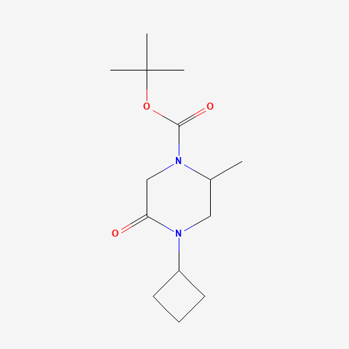 tert-butyl 4-cyclobutyl-2-methyl-5-oxopiperazine-1-carboxylate (CAS: 1284246-07-6) - Related Chemical Product