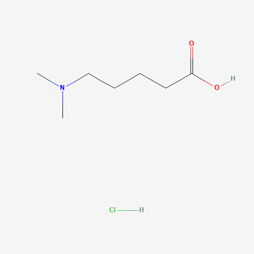 5-(dimethylamino)pentanoic acid;hydrochloride (CAS: 25726-28-7) - Related Chemical Product