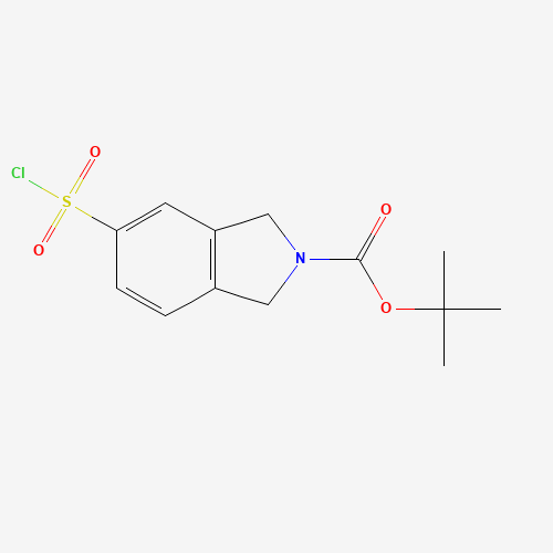 tert-butyl 5-chlorosulfonyl-1,3-dihydroisoindole-2-carboxylate (CAS: 1262408-03-6) - Related Chemical Product