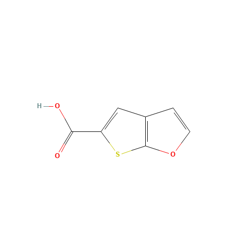 thieno[2,3-b]furan-5-carboxylic acid (CAS: 934246-40-9) - Related Chemical Product