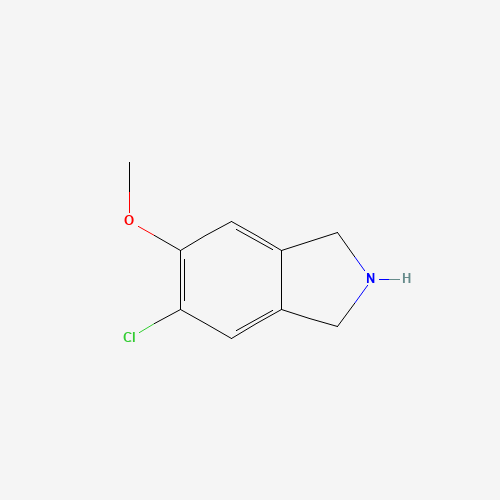 5-chloro-6-methoxy-2,3-dihydro-1H-isoindole (CAS: 905362-56-3) - Related Chemical Product