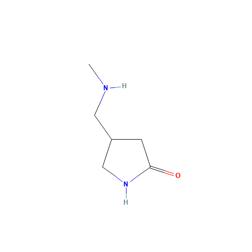 4-(methylaminomethyl)pyrrolidin-2-one (CAS: 933691-52-2) - Related Chemical Product