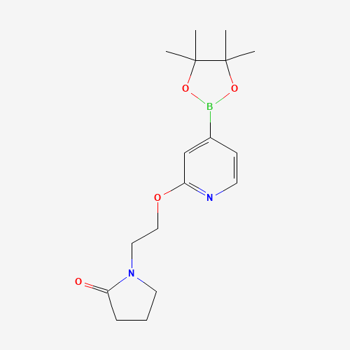 1-[2-[4-(4,4,5,5-tetramethyl-1,3,2-dioxaborolan-2-yl)pyridin-2-yl]oxyethyl]pyrrolidin-2-one (CAS: 1610521-17-9) - Related Chemical Product