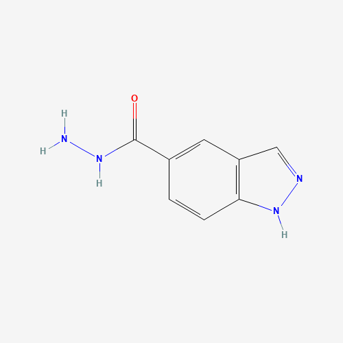 1H-indazole-5-carbohydrazide (CAS: 1005205-25-3) - Related Chemical Product