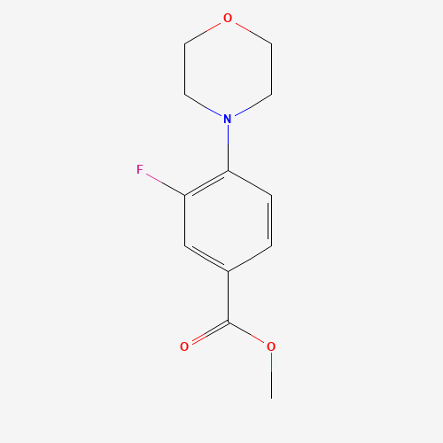 methyl 3-fluoro-4-morpholin-4-ylbenzoate (CAS: 495405-04-4) - Related Chemical Product