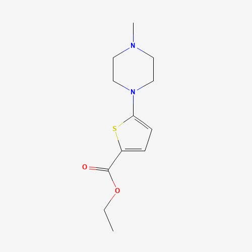 ethyl 5-(4-methylpiperazin-1-yl)thiophene-2-carboxylate (CAS: 1035271-19-2) - Related Chemical Product