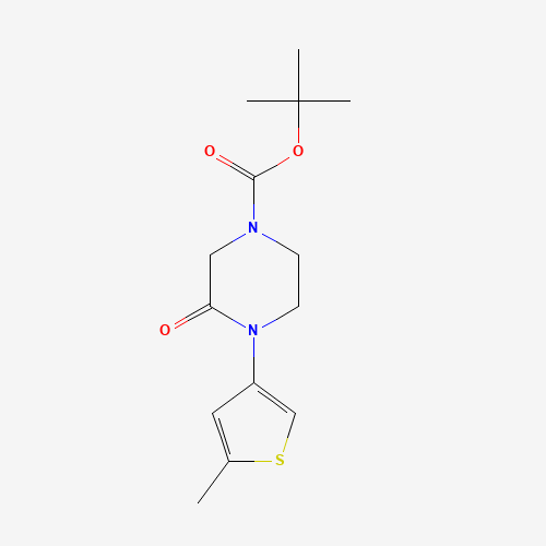 tert-butyl 4-(5-methylthiophen-3-yl)-3-oxopiperazine-1-carboxylate (CAS: 1284249-87-1) - Related Chemical Product