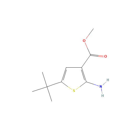 methyl 2-amino-5-tert-butylthiophene-3-carboxylate (CAS: 216574-71-9) - Related Chemical Product