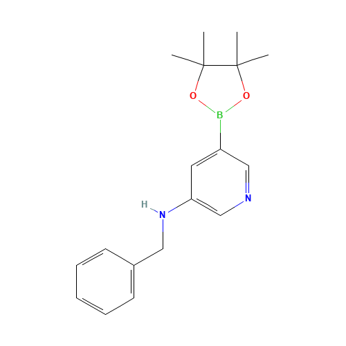N-benzyl-5-(4,4,5,5-tetramethyl-1,3,2-dioxaborolan-2-yl)pyridin-3-amine (CAS: 1201645-45-5) - Related Chemical Product