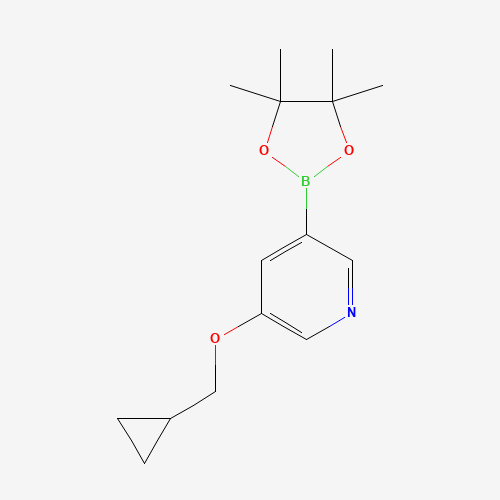 3-(cyclopropylmethoxy)-5-(4,4,5,5-tetramethyl-1,3,2-dioxaborolan-2-yl)pyridine (CAS: 1257553-87-9) - Related Chemical Product