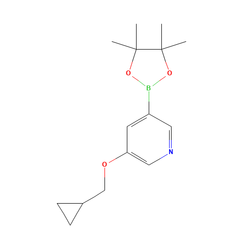 3-(cyclopropylmethoxy)-5-(4,4,5,5-tetramethyl-1,3,2-dioxaborolan-2-yl)pyridine (CAS: 1257553-87-9) - Related Chemical Product