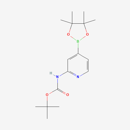 tert-butyl N-[4-(4,4,5,5-tetramethyl-1,3,2-dioxaborolan-2-yl)pyridin-2-yl]carbamate (CAS: 1095708-32-9) - Related Chemical Product