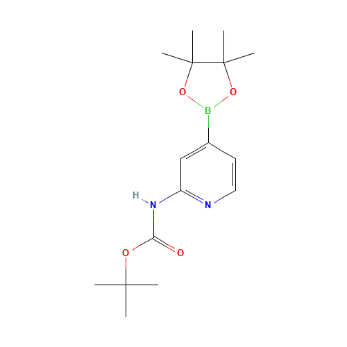 tert-butyl N-[4-(4,4,5,5-tetramethyl-1,3,2-dioxaborolan-2-yl)pyridin-2-yl]carbamate (CAS: 1095708-32-9) - Related Chemical Product