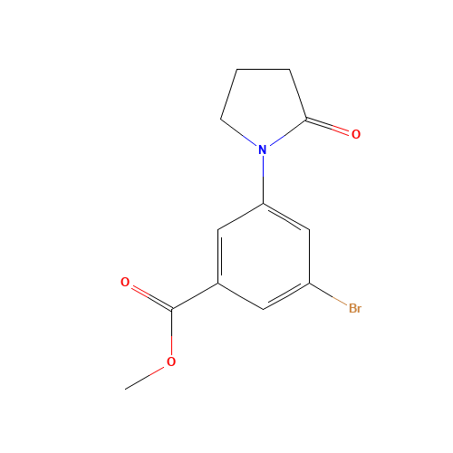 methyl 3-bromo-5-(2-oxopyrrolidin-1-yl)benzoate (CAS: 537657-85-5) - Related Chemical Product