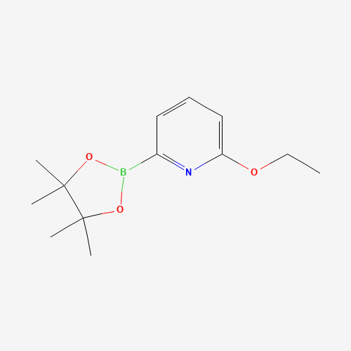 2-ethoxy-6-(4,4,5,5-tetramethyl-1,3,2-dioxaborolan-2-yl)pyridine (CAS: 1310385-03-5) - Related Chemical Product