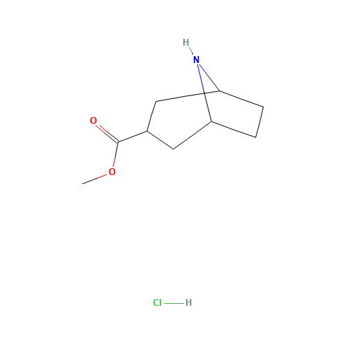methyl 8-azabicyclo[3.2.1]octane-3-carboxylate;hydrochloride (CAS: 179022-43-6) - Related Chemical Product