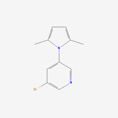 3-bromo-5-(2,5-dimethylpyrrol-1-yl)pyridine (CAS: 1021910-59-7) - Related Chemical Product