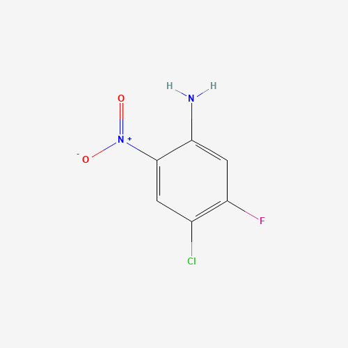 4-chloro-5-fluoro-2-nitroaniline (CAS: 428871-64-1) - Related Chemical Product