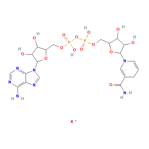 [[5-(6-aminopurin-9-yl)-3,4-dihydroxyoxolan-2-yl]methoxy-hydroxyphosphoryl] [5-(3-carbamoyl-4H-pyridin-1-yl)-3,4-dihydroxyoxolan-2-yl]methyl hydrogen phosphate;potassium (CAS: 104809-32-7) - Related Chemical Product
