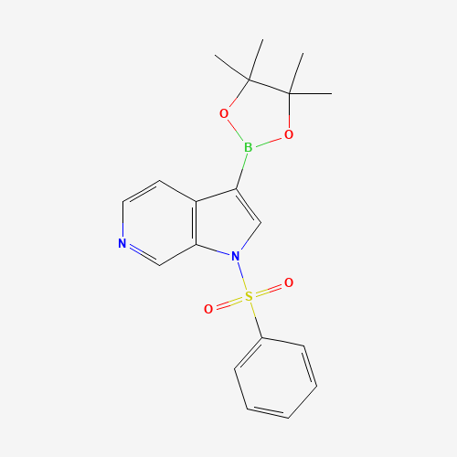 1-(benzenesulfonyl)-3-(4,4,5,5-tetramethyl-1,3,2-dioxaborolan-2-yl)pyrrolo[2,3-c]pyridine (CAS: 1174038-65-3) - Related Chemical Product