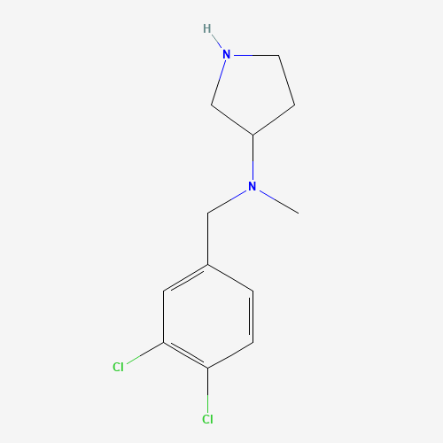 N-[(3,4-dichlorophenyl)methyl]-N-methylpyrrolidin-3-amine (CAS: 1339219-70-3) - Related Chemical Product