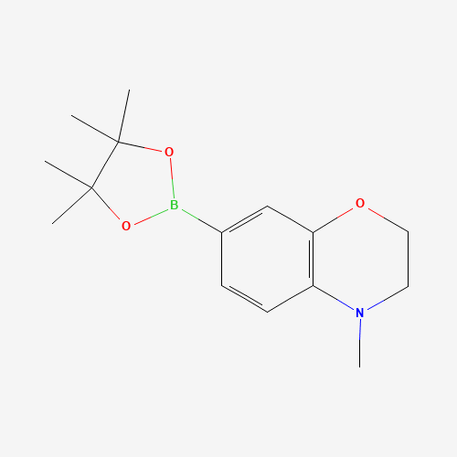 4-methyl-7-(4,4,5,5-tetramethyl-1,3,2-dioxaborolan-2-yl)-2,3-dihydro-1,4-benzoxazine (CAS: 519054-54-7) - Related Chemical Product