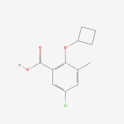 5-chloro-2-cyclobutyloxy-3-methylbenzoic acid (CAS: 1092448-17-3) - Related Chemical Product