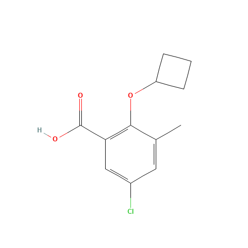 5-chloro-2-cyclobutyloxy-3-methylbenzoic acid (CAS: 1092448-17-3) - Related Chemical Product