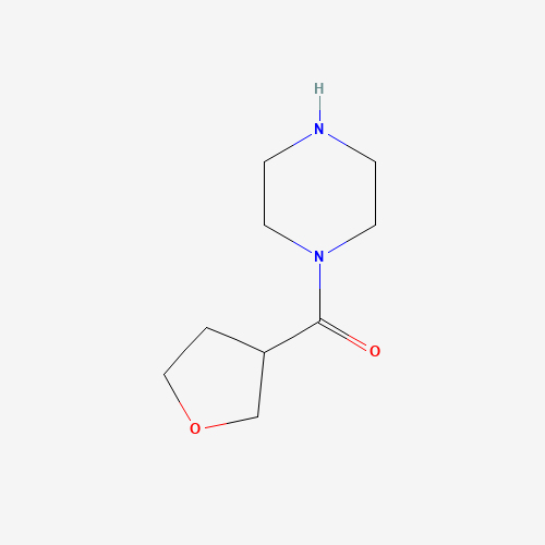 oxolan-3-yl(piperazin-1-yl)methanone (CAS: 1070772-28-9) - Related Chemical Product