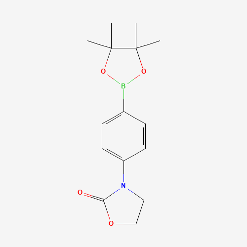 3-[4-(4,4,5,5-tetramethyl-1,3,2-dioxaborolan-2-yl)phenyl]-1,3-oxazolidin-2-one (CAS: 1346253-82-4) - Related Chemical Product