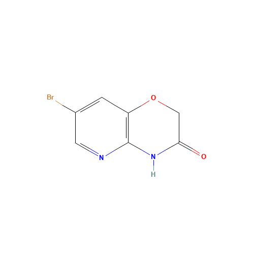 7-bromo-4H-pyrido[3,2-b][1,4]oxazin-3-one (CAS: 122450-96-8) - Related Chemical Product