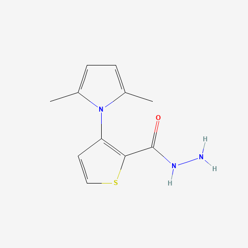 3-(2,5-dimethylpyrrol-1-yl)thiophene-2-carbohydrazide (CAS: 666724-62-5) - Related Chemical Product