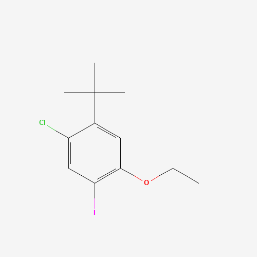 1-tert-butyl-2-chloro-5-ethoxy-4-iodobenzene (CAS: 870007-49-1) - Chemical Structure and Molecular Formula 