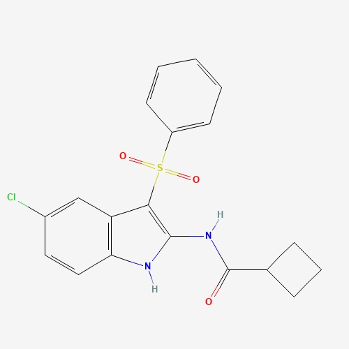 N-[3-(benzenesulfonyl)-5-chloro-1H-indol-2-yl]cyclobutanecarboxamide (CAS: 918493-32-0) - Related Chemical Product