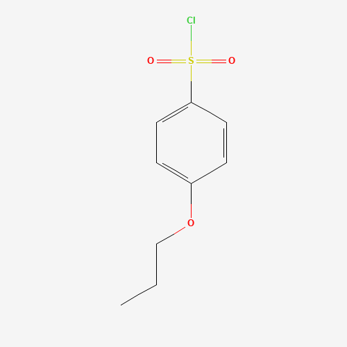 4-propoxybenzenesulfonyl chloride (CAS: 58076-32-7) - Related Chemical Product