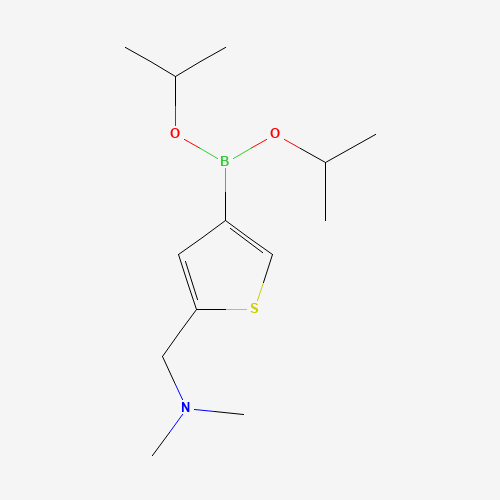 1-[4-di(propan-2-yloxy)boranylthiophen-2-yl]-N,N-dimethylmethanamine (CAS: 1075220-40-4) - Related Chemical Product