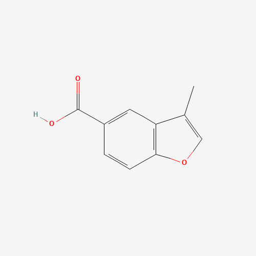 3-methyl-1-benzofuran-5-carboxylic acid (CAS: 501892-99-5) - Related Chemical Product