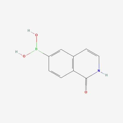 (1-oxo-2H-isoquinolin-6-yl)boronic acid (CAS: 376584-82-6) - Related Chemical Product