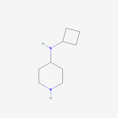 N-cyclobutylpiperidin-4-amine (CAS: 928818-04-6) - Related Chemical Product
