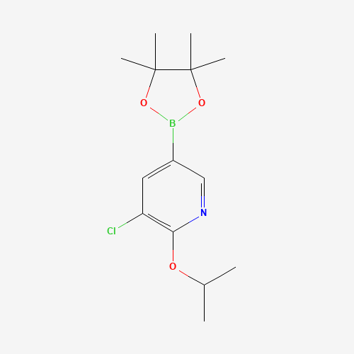 3-chloro-2-propan-2-yloxy-5-(4,4,5,5-tetramethyl-1,3,2-dioxaborolan-2-yl)pyridine (CAS: 1344997-94-9) - Related Chemical Product