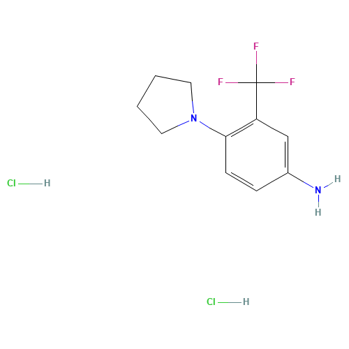 4-pyrrolidin-1-yl-3-(trifluoromethyl)aniline;dihydrochloride (CAS: 1158215-71-4) - Related Chemical Product