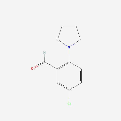 5-chloro-2-pyrrolidin-1-ylbenzaldehyde (CAS: 1446818-73-0) - Related Chemical Product