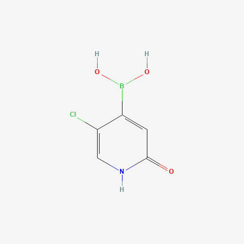 (5-chloro-2-oxo-1H-pyridin-4-yl)boronic acid (CAS: 1412906-75-2) - Related Chemical Product