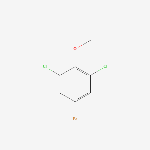 5-bromo-1,3-dichloro-2-methoxybenzene (CAS: 19240-91-6) - Related Chemical Product