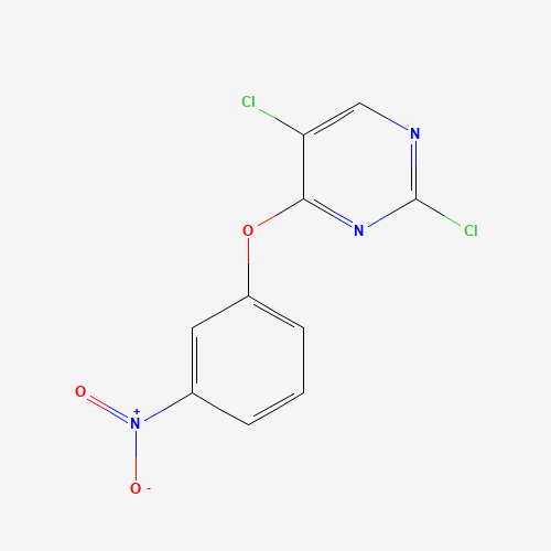 2,5-dichloro-4-(3-nitrophenoxy)pyrimidine (CAS: 76661-24-0) - Related Chemical Product