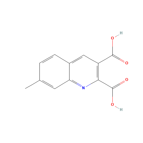 7-methylquinoline-2,3-dicarboxylic acid (CAS: 948291-03-0) - Related Chemical Product