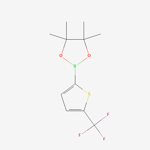 4,4,5,5-tetramethyl-2-[5-(trifluoromethyl)thiophen-2-yl]-1,3,2-dioxaborolane (CAS: 596819-13-5) - Related Chemical Product